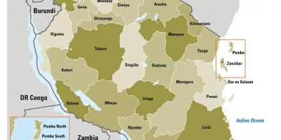 نقشه تانزانیا با منطقه